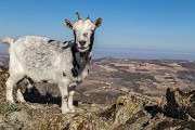 Mercoledì 01 Novembre 2017 – Pietra Perduca – Pietra Parcellara - FOTOGALLERY